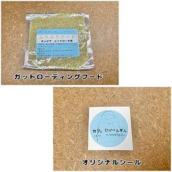 Amazon.co.jp: デュビア、レッドローチ、コオロギ飼育ケージ